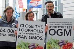 Foto: Foeeurope.org