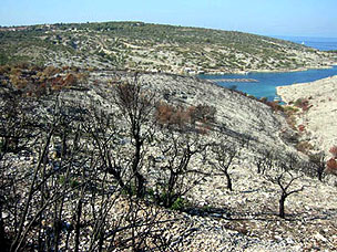 0231007_19.jpg