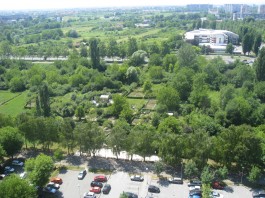 travno.jpg
