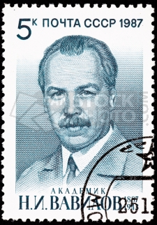 vavilov.png