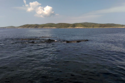 Foto: Plavi svijet