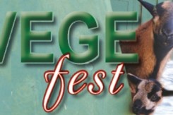 vege_fest.jpg