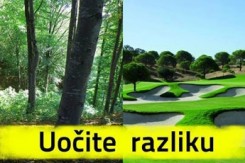 golf_zelena.jpg