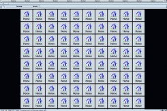 netcube.jpg
