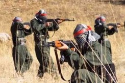 pkk_scrreenshot_youtube.jpg