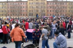 rojc_zelena_istra.hr.jpg