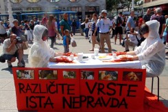 Foto: Stop specizmu<br>