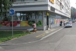 bic2_copy12577.jpg