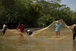 buenavida_copy59062.jpg
