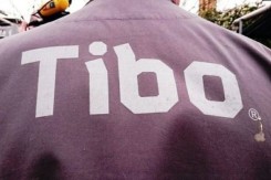large_tibo.jpg