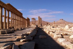 palmyra18_copy76264.jpg