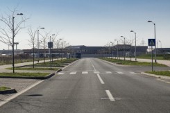 novi_jelkovec.jpg