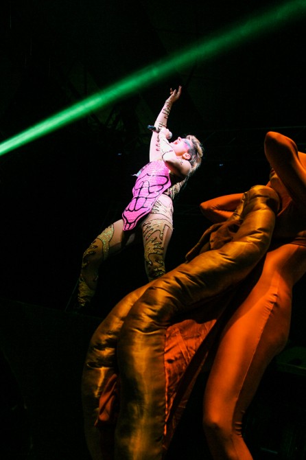 Peaches, foto: Dani Canto/ Primavera Sound