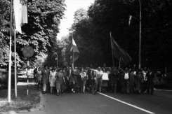 borovo_1_maz.jpg