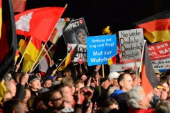 afd_njemacka_sleu.jpg