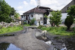 beograd_na_vodi_vreme.jpg