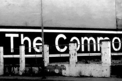 commons_ipe.jpg