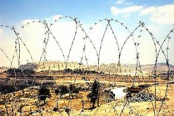 gaza.jpg