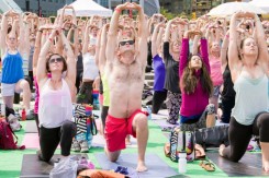 joga_strachan_flickr_jacobin.jpg