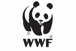 wwf_logo_copy59904.jpg
