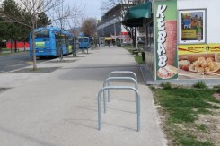 park_bic_vanjaradovanovic.jpg