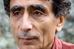 gabor_mate_199_200.png