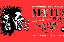 motus.jpg