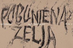 pobunjena_zelja_vizual.jpg