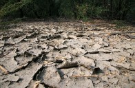 susa_klimatske_promjene_mk_copy24692.jpg