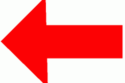 left_arrow_gif_3_freeicons_copy13697.gif