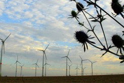 vjetar_energija_njemacka2_mk_copy17133.jpg